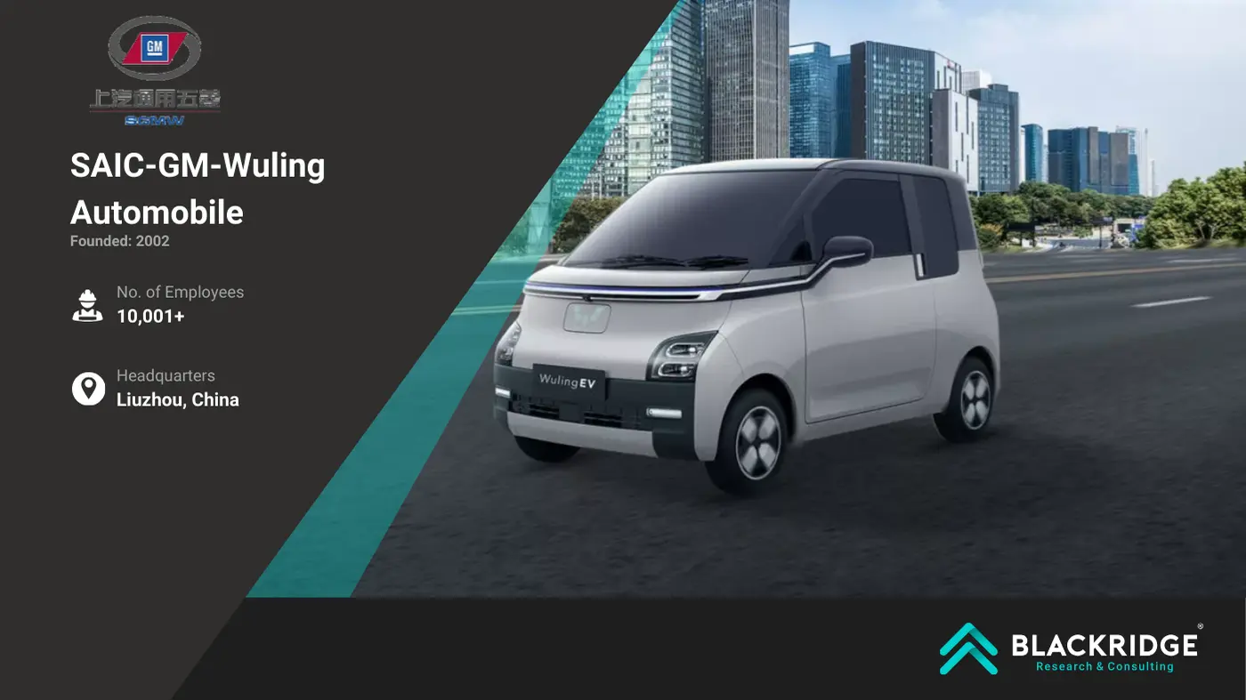 top ev car companies 2025